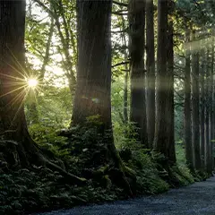 日本の神様のご利益とその由来