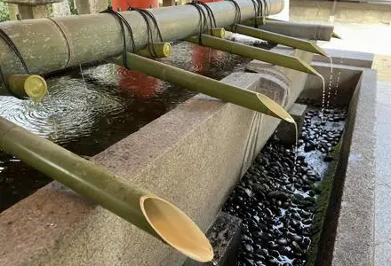 手水舎で手を清めてから進みましょう