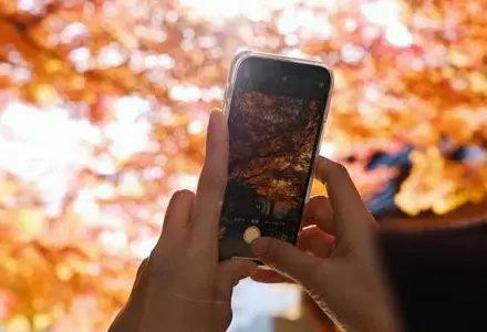 写真撮影はまわりをよく見ましょう