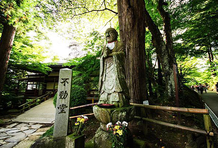 お寺を指す言葉「閣」「堂」「庵」「坊」とは