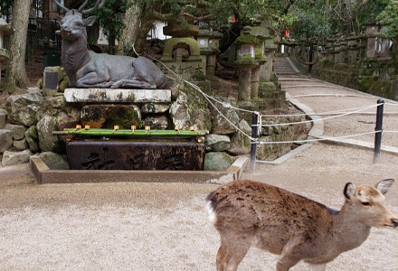 神使（しんし）とは