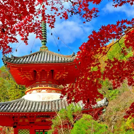 秋のお寺・神社