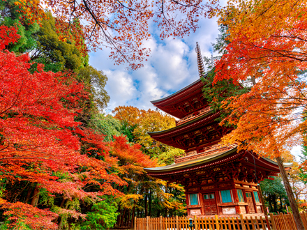 御朱印（ごしゅいん）の起源