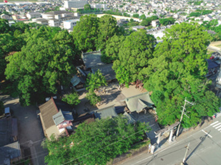 大宮神社1