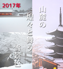 冬の京都特集