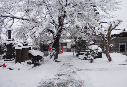 大慈山 圓應寺1