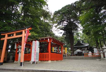 賀茂神社1
